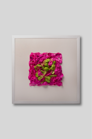 In bloom