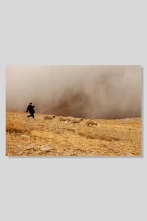 Yayla